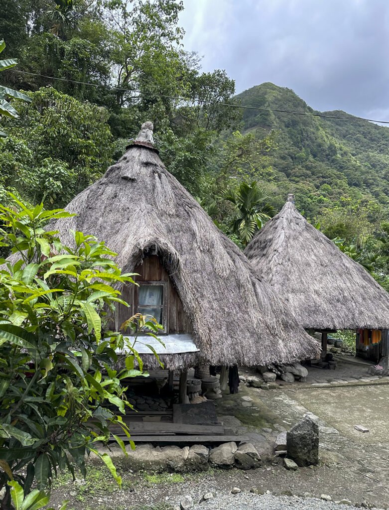 Batad Kadangyan Ethnic Lodge
