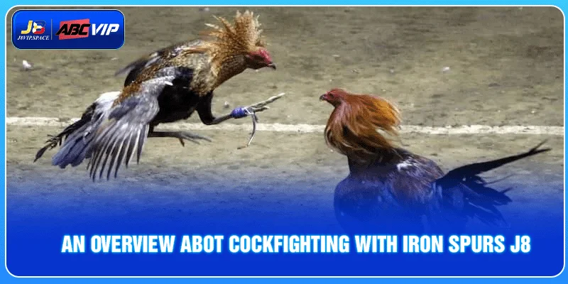 An overview abot Cockfighting with Iron Spurs J8 