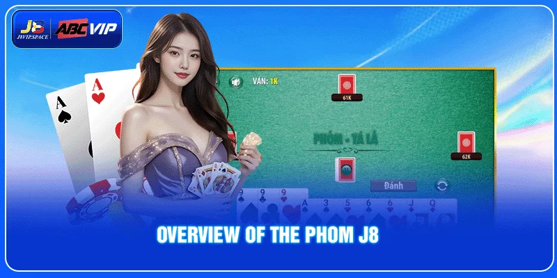 Overview of the Phom J8
