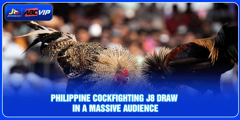 Philippine Cockfighting J8 Draw In A Massive Audience