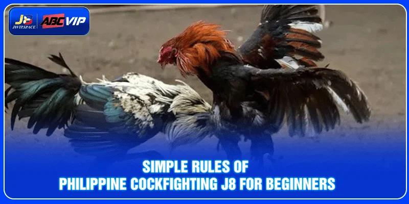 Simple rules of Philippine Cockfighting J8 for beginners